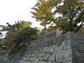 Leaves color change at Morioka Castle Ruins Park.