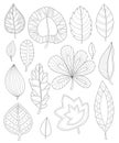 Leaves coloring for adults