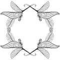 Leaves contours on a white background. floral border. Sketch frames, hand-drawn. Vector