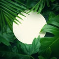 Leaves with copy space background.Tropical Botanical