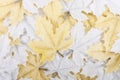 Leaves decoration background Royalty Free Stock Photo