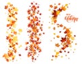 Leaves design set Royalty Free Stock Photo