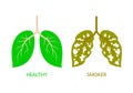 Leaves designed like human lung comparison.