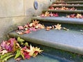 Autumn leaves on the stairs. Royalty Free Stock Photo