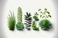 Leaves of different plants. Variety of species to use as decoration. Green color. Isolated on a white background. Generative AI