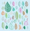 leaves doodles set. Vector hand drawn illustration. Royalty Free Stock Photo