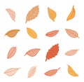 Leaves doodles set. Vector hand drawn illustration. Royalty Free Stock Photo