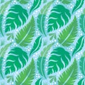 Leaves of exotic plants - creative vector illustration. Floral seamless pattern. Abstract concept background. Tropical summer Royalty Free Stock Photo