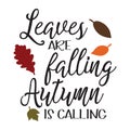 Leaves Are Falling Autumn is Cal typography t-shirt design, tee print Royalty Free Stock Photo