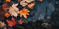 Leaves float and swirl in the water. Beautiful autumn day. Autumn rainy season concept Royalty Free Stock Photo