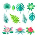 Leaves and Flowers Collection Vector Illustration