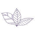 Leaves foliage greeney vegetation plant isolated icon line style Royalty Free Stock Photo