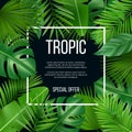 Leaves frame. Vector design template with nature green plants tropical picture with place for your text Royalty Free Stock Photo