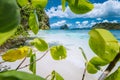 Leaves framed shot of bizarre amazing Pinagbuyutan island made beach on Lagen Island. El Nido, Palawan, Philippines