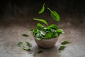 Leaves of fresh baby spinach in a Bowl