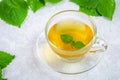 Leaves of fresh green nettle and a clear glass cup of herbal nettle tea on a gray concrete table. Royalty Free Stock Photo