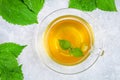 Leaves of fresh green nettle and a clear glass cup of herbal nettle tea on a gray concrete table. Top view. Royalty Free Stock Photo