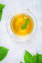 Leaves of fresh green nettle and a clear glass cup of herbal nettle tea on a gray concrete table. Royalty Free Stock Photo