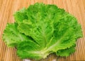 Leaves of fresh lettuce and water drops Royalty Free Stock Photo