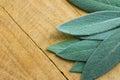 Leaves of freshly picked sage on aged wood cutting board. Culinary medicinal herbs essential oil wellness concept Royalty Free Stock Photo