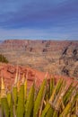 Leaves in front of view over Grand Canyon at Eagle Point Royalty Free Stock Photo