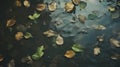 Cloudy Leaves: Naturalistic Tones And Nostalgic Natures In Pond Imagery