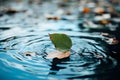 Leaves gracefully floating on water against the backdrop of autumn create a tranquil and picturesque scene in nature.