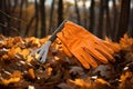 Cleaning nature pile autumn work leaves fall gardening foliage rake yard seasonal tool Royalty Free Stock Photo