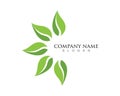 leaves green nature logo and symbol