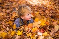 Leaves and Hair toddler in autumn Royalty Free Stock Photo