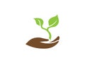 Leaves in hand for plant care for logo design illustration on white background