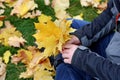 The leaves in the hands of men. Royalty Free Stock Photo