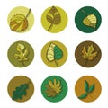 Leaves icon. green leaf of forest tree. Royalty Free Stock Photo