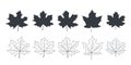 Leaves icon. Maple leaves. Tree leaves of different types in autumn and summer. Vector illustration Royalty Free Stock Photo