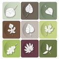 Leaves icon. Are used as buttons for web design Royalty Free Stock Photo