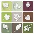 Leaves icon. Are used as buttons for web design Royalty Free Stock Photo