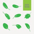 Leaves icon vector set isolated on light background. Various shapes of green leaves of plants. Royalty Free Stock Photo