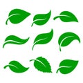 Leaves icon vector set isolated on white background. Various shapes of green leaves of trees and plants. Elements for eco and bio Royalty Free Stock Photo