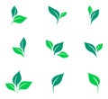 Leaves icon vector set isolated on white background. Various shapes of green leaves of trees and plants. Elements for eco and bio Royalty Free Stock Photo