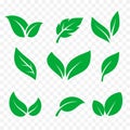 Leaves icons isolated vector set. Green tree leaf, eco and organic bio logo Royalty Free Stock Photo