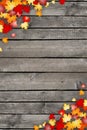 Autumn, fall leaves illustration, wooden background Royalty Free Stock Photo