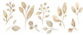 Leaves illustration set, delicate beige garden florals clipart collection, greenery clip art