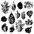 Leaves imprints set isolated on white background vector