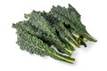 Leaves of Italian black kale