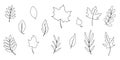 leaves line autumn set elements forest doodle