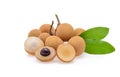 Leaves longan. fresh longan on white background Royalty Free Stock Photo