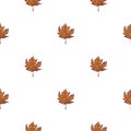 Leaves maple canadian engraved seamless pattern. Vintage background botanical with foliage in hand drawn style Royalty Free Stock Photo