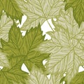 Leaves maple engraved seamless pattern. Green background summer botanical with canadian foliage in hand drawn style Royalty Free Stock Photo