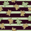 Leaves maple engraved seamless pattern. Vintage background botanical with canadian foliage in hand drawn style Royalty Free Stock Photo