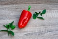 leaves of mint and one big red tasty pepper, objective photography, place for writing